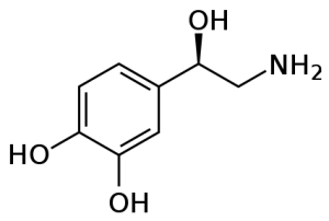 Norepinephrine Molecule Structure