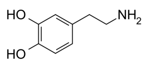 Dopamine Molecule Structure